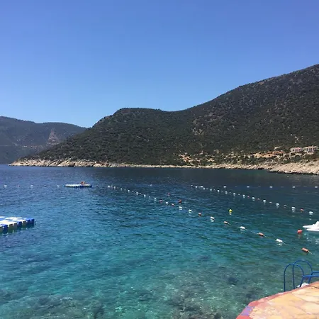 Kismet * Kalkan